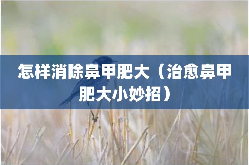 怎样消除鼻甲肥大（治愈鼻甲肥大小妙招）
