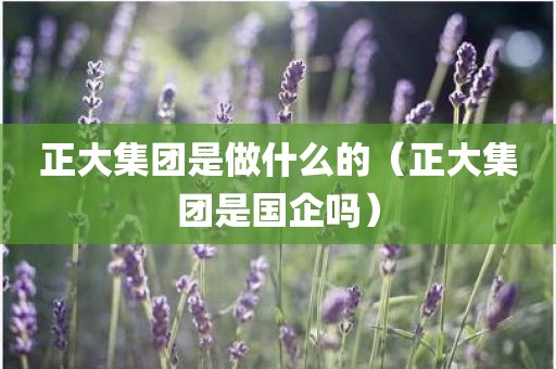正大集团是做什么的（正大集团是国企吗）
