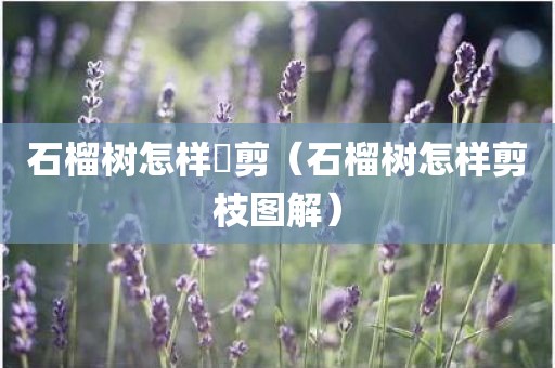 石榴树怎样俢剪（石榴树怎样剪枝图解）