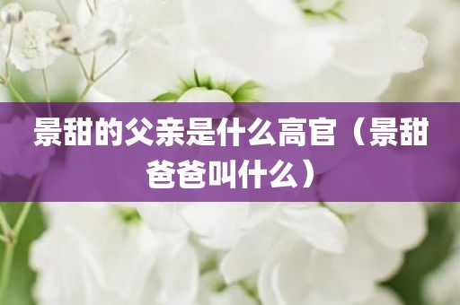 景甜的父亲是什么高官（景甜爸爸叫什么）