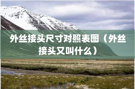 外丝接头尺寸对照表图（外丝接头又叫什么）