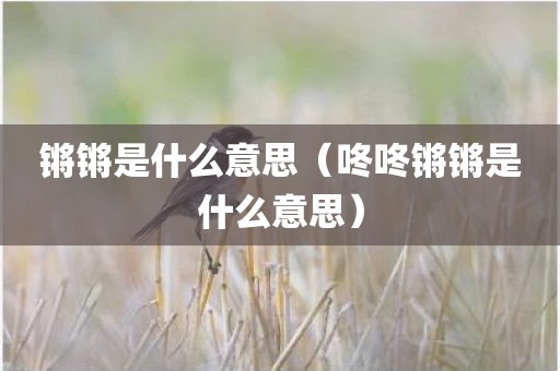锵锵是什么意思（咚咚锵锵是什么意思）