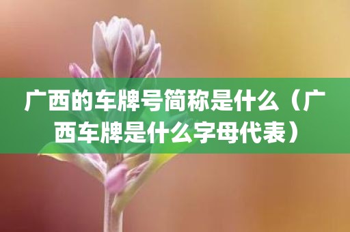 广西的车牌号简称是什么（广西车牌是什么字母代表）