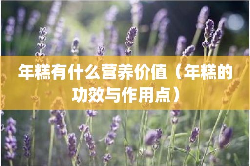 年糕有什么营养价值(年糕的功效与作用点)