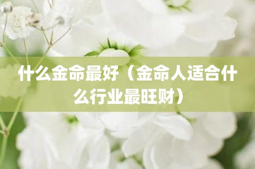 什么金命最好（金命人适合什么行业最旺财）