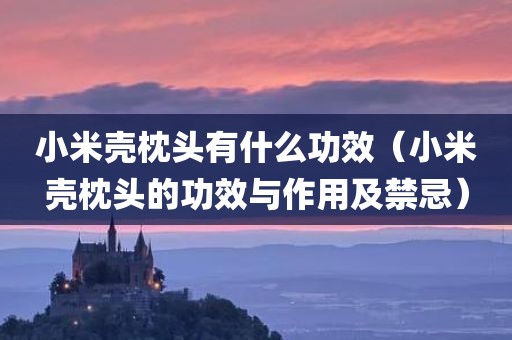 小米壳枕头有什么功效（小米壳枕头的功效与作用及禁忌）