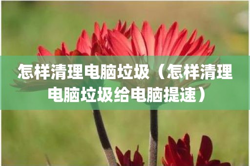 怎样清理电脑垃圾（怎样清理电脑垃圾给电脑提速）