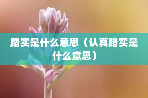 踏实是什么意思（认真踏实是什么意思）