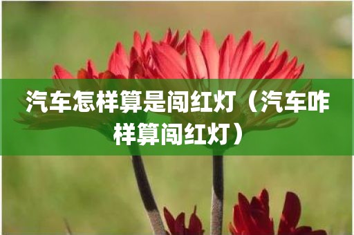 汽车怎样算是闯红灯（汽车咋样算闯红灯）