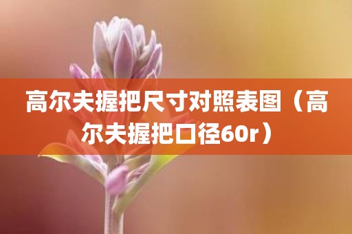 高尔夫握把尺寸对照表图（高尔夫握把口径60r）