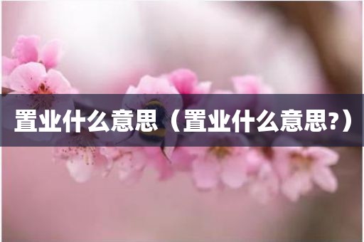 置业什么意思（置业什么意思?）