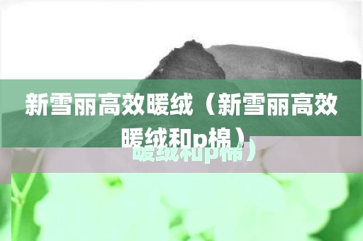 新雪丽高效暖绒（新雪丽高效暖绒和p棉）