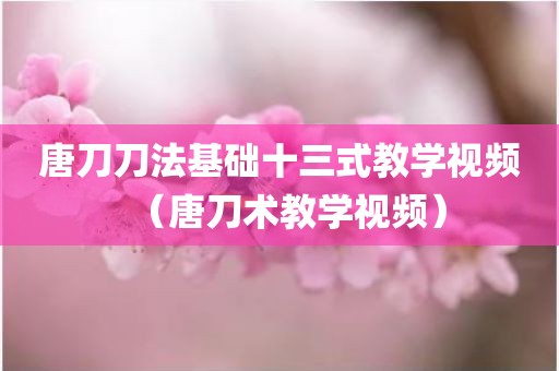 唐刀刀法基础十三式教学视频（唐刀术教学视频）