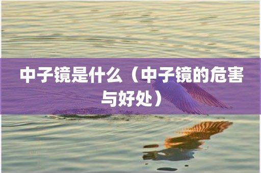 中子镜是什么（中子镜的危害与好处）