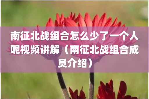 南征北战组合怎么少了一个人呢视频讲解（南征北战组合成员介绍）