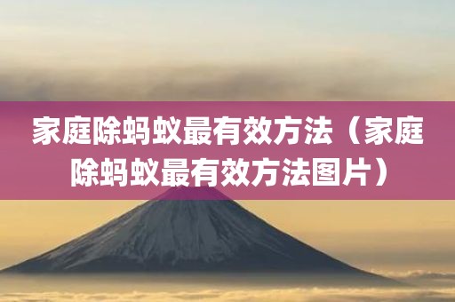家庭除蚂蚁最有效方法（家庭除蚂蚁最有效方法图片）