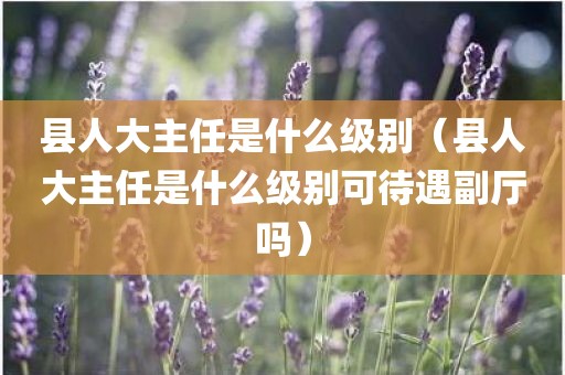 县人大主任是什么级别（县人大主任是什么级别可待遇副厅吗）