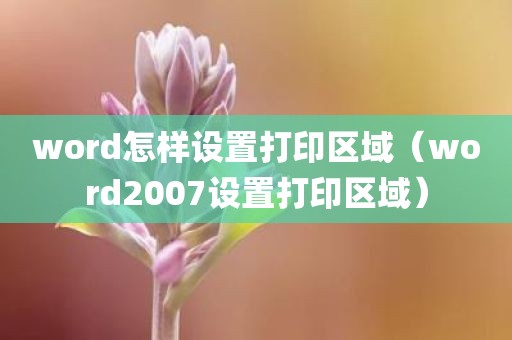 word怎样设置打印区域（word2007设置打印区域）