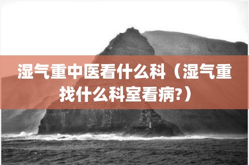 湿气重中医看什么科（湿气重找什么科室看病?）