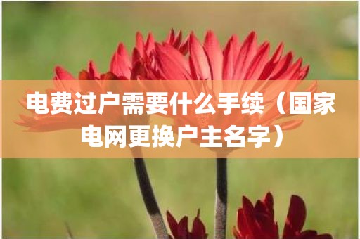 电费过户需要什么手续（国家电网更换户主名字）