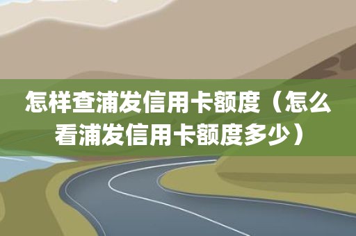 怎样查浦发信用卡额度（怎么看浦发信用卡额度多少）