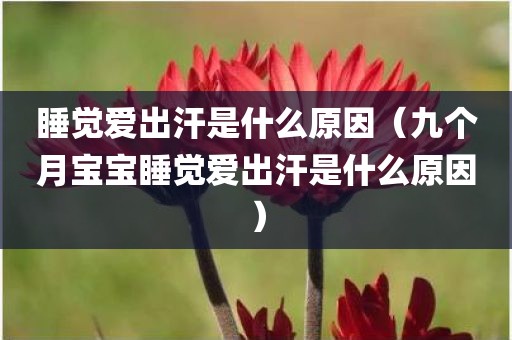 睡觉爱出汗是什么原因（九个月宝宝睡觉爱出汗是什么原因）