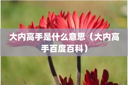 大内高手是什么意思（大内高手百度百科）