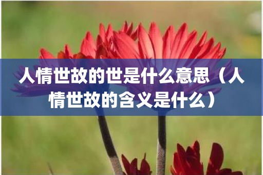 人情世故的世是什么意思（人情世故的含义是什么）