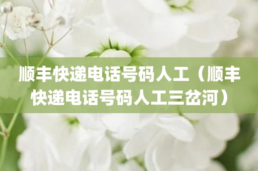 顺丰快递电话号码人工（顺丰快递电话号码人工三岔河）