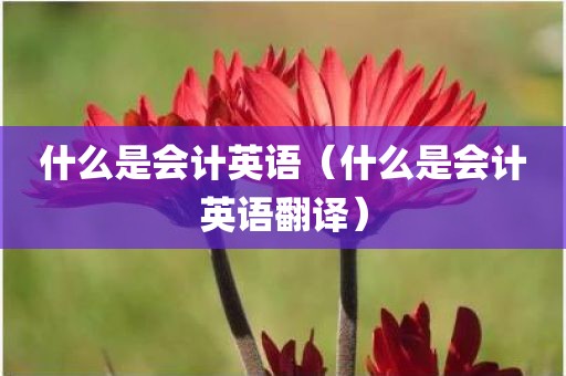 什么是会计英语（什么是会计英语翻译）