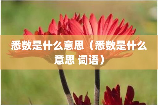 悉数是什么意思（悉数是什么意思 词语）