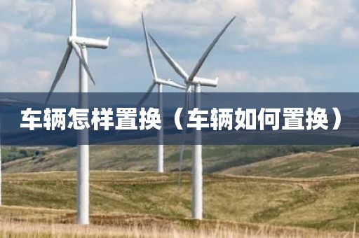 车辆怎样置换（车辆如何置换）