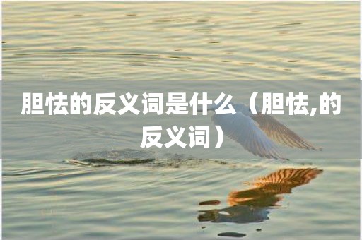 胆怯的反义词是什么(胆怯,的反义词)