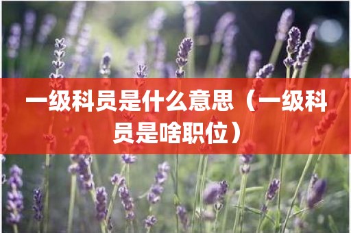 一级科员是什么意思(一级科员是啥职位)
