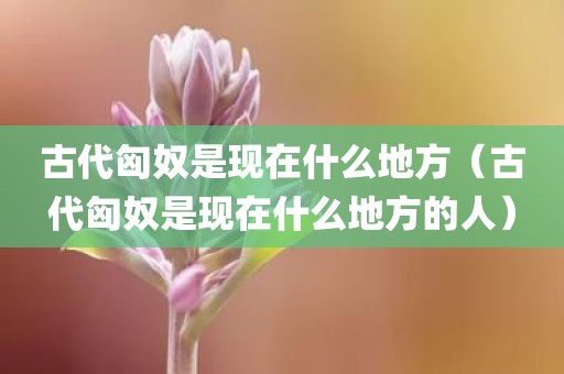 古代匈奴是现在什么地方（古代匈奴是现在什么地方的人）