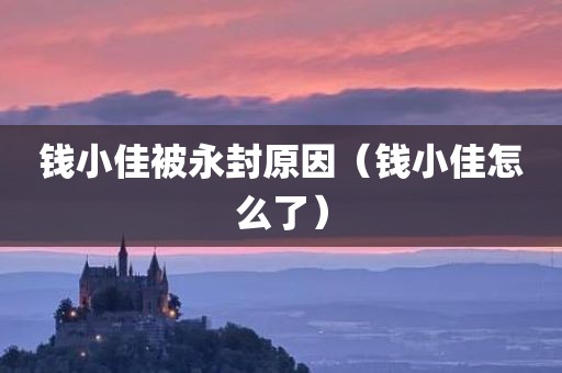 钱小佳被永封原因（钱小佳怎么了）