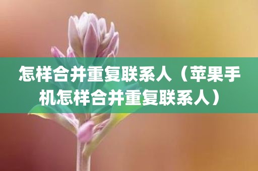 怎样合并重复联系人（苹果手机怎样合并重复联系人）