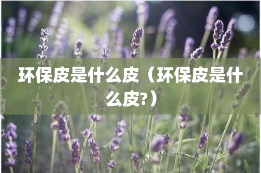 环保皮是什么皮（环保皮是什么皮?）