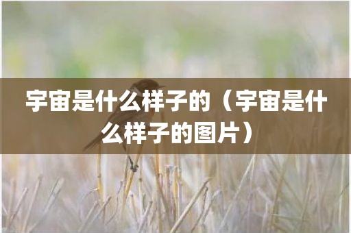 宇宙是什么样子的（宇宙是什么样子的图片）