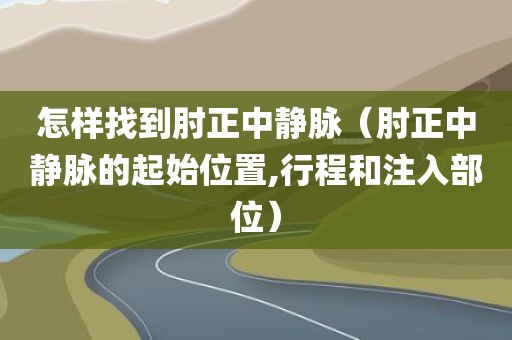 怎样找到肘正中静脉（肘正中静脉的起始位置,行程和注入部位）
