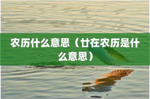 农历什么意思（廿在农历是什么意思）