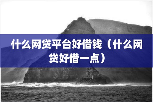 什么网贷平台好借钱（什么网贷好借一点）