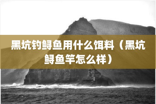 黑坑钓鲟鱼用什么饵料（黑坑鲟鱼竿怎么样）
