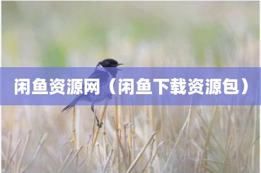 闲鱼资源网（闲鱼下载资源包）