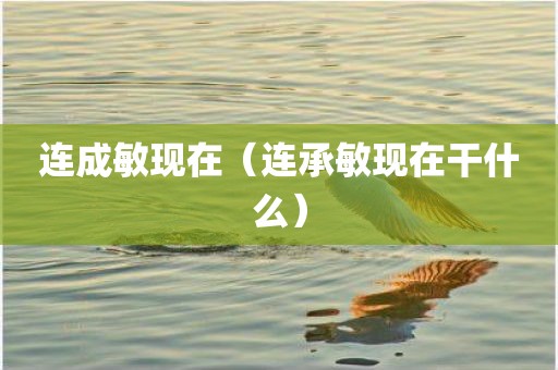 连成敏现在（连承敏现在干什么）