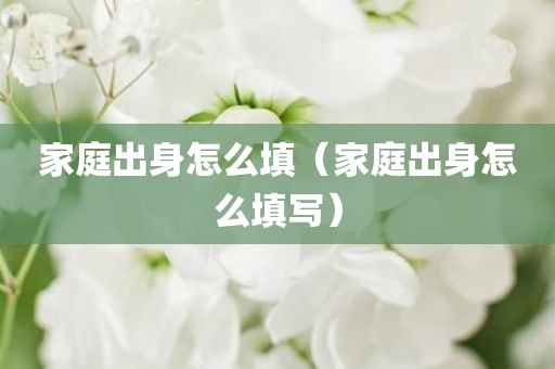 家庭出身怎么填（家庭出身怎么填写）