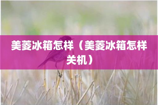 美菱冰箱怎样（美菱冰箱怎样关机）