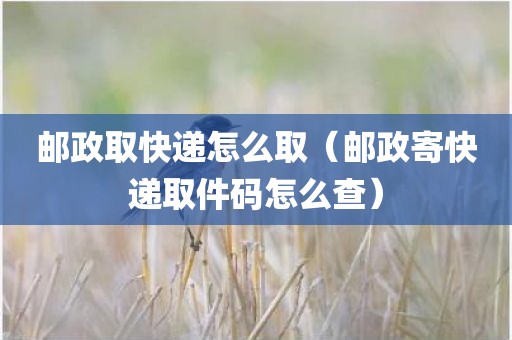 邮政取快递怎么取（邮政寄快递取件码怎么查）