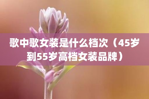 歌中歌女装是什么档次(45岁到55岁高档女装品牌)