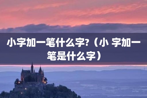 小字加一笔什么字?（小 字加一笔是什么字）
